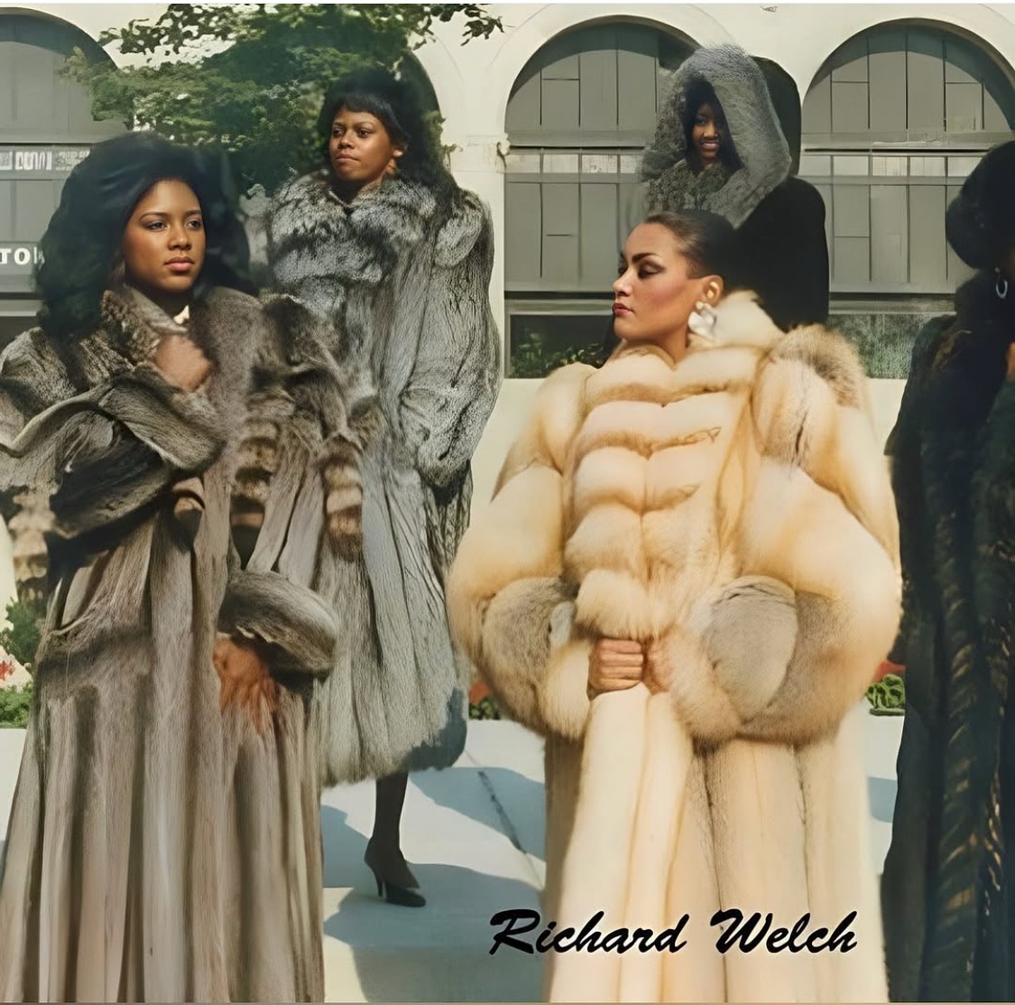 A classic fur never goes out of style…